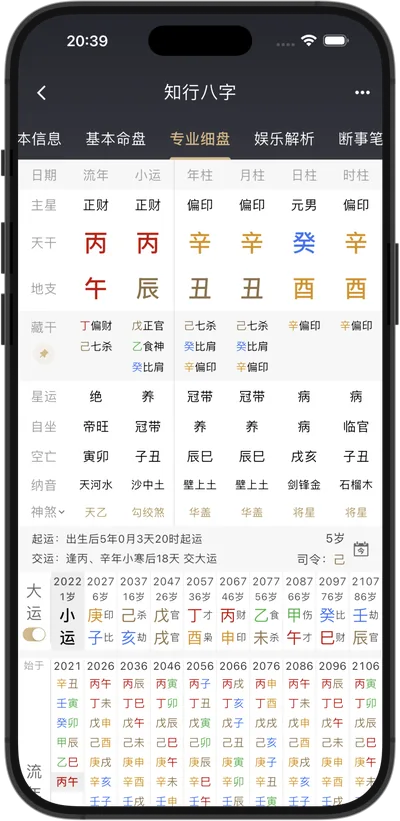 知行八字 iPhone 竖屏界面：同一张八字专业细盘的单列排法